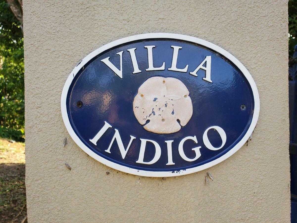 Villa Indigo Sunny 1Br Apartment In Private Gated Estate Charlotte Amalie Buitenkant foto