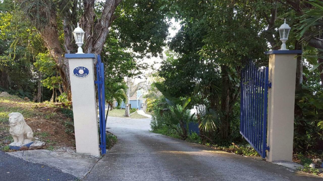 Villa Indigo Sunny 1Br Apartment In Private Gated Estate Charlotte Amalie Buitenkant foto