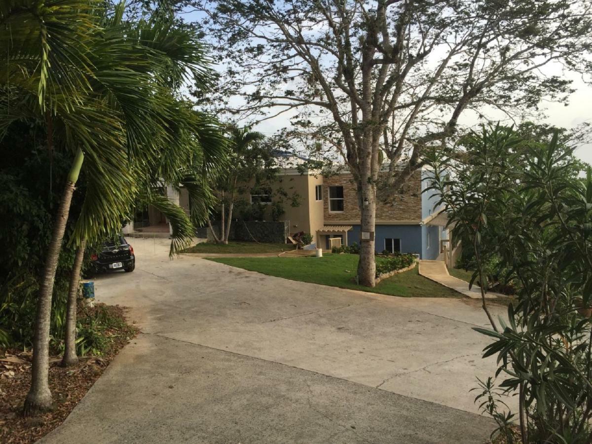 Villa Indigo Sunny 1Br Apartment In Private Gated Estate Charlotte Amalie Buitenkant foto