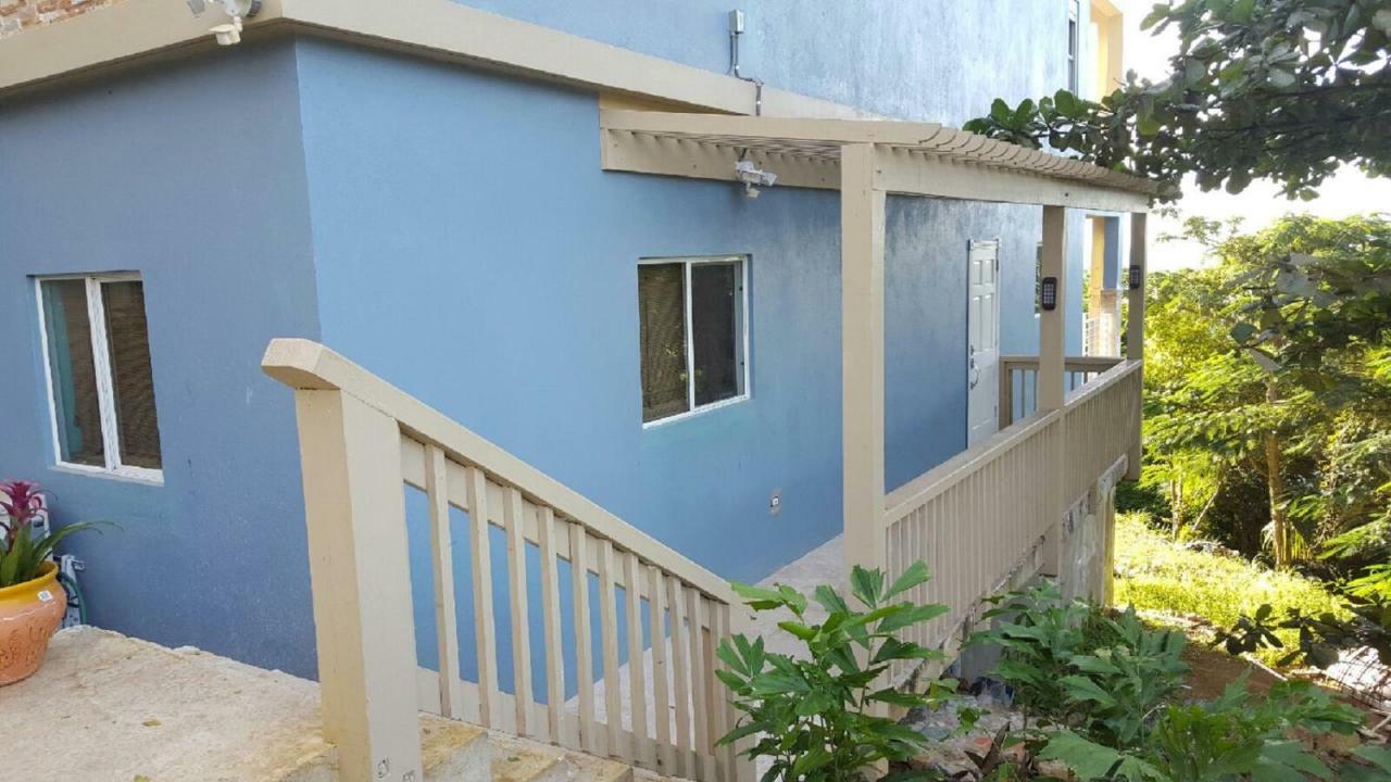 Villa Indigo Sunny 1Br Apartment In Private Gated Estate Charlotte Amalie Buitenkant foto